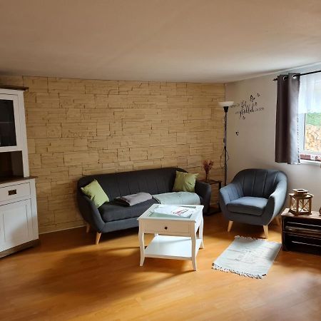 Haus Steindoebra Villa Klingenthal Dış mekan fotoğraf