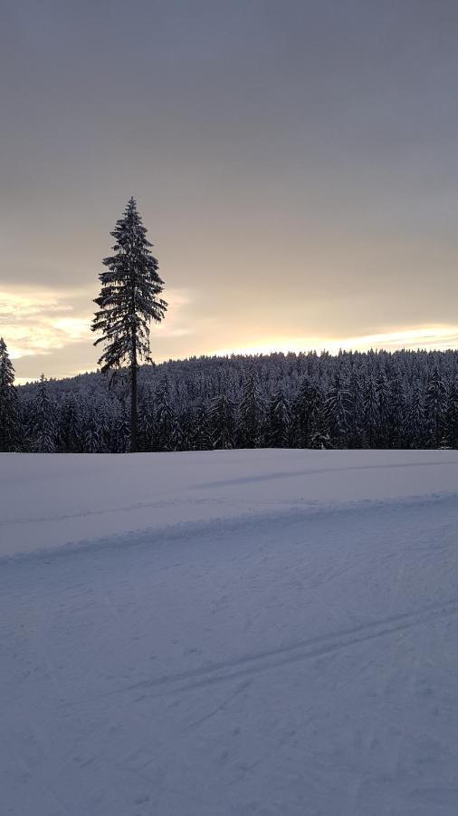 Haus Steindoebra Villa Klingenthal Dış mekan fotoğraf