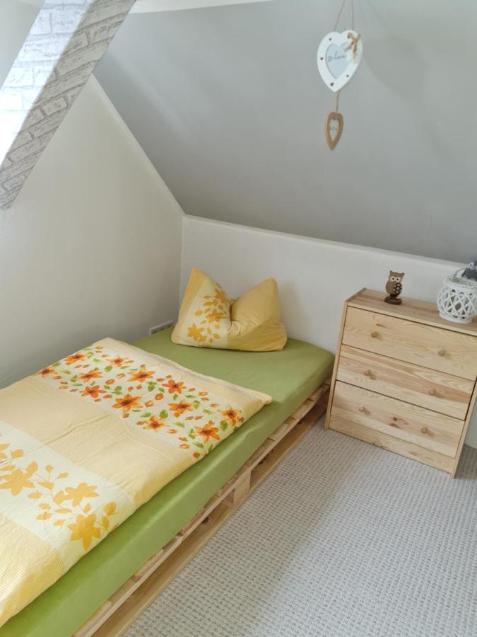 Haus Steindoebra Villa Klingenthal Dış mekan fotoğraf