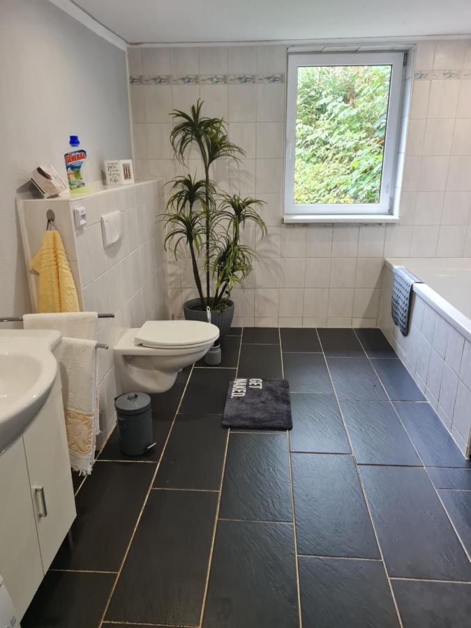 Haus Steindoebra Villa Klingenthal Dış mekan fotoğraf